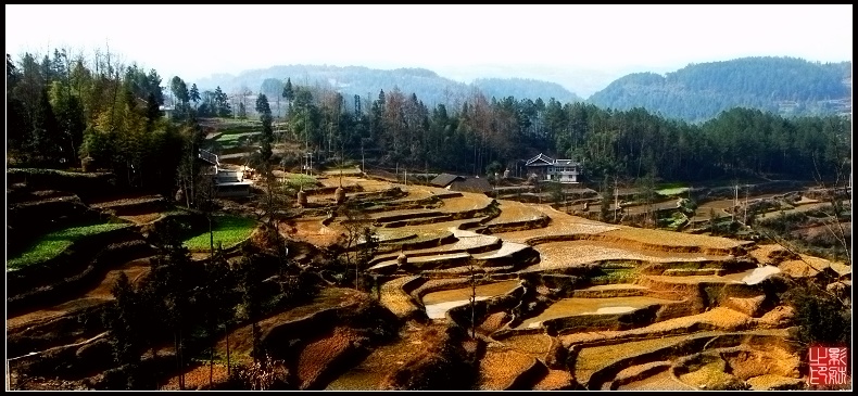 田园风光 摄影 同舟