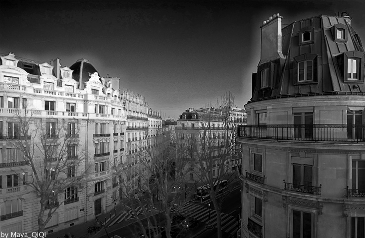 Avenue des Champs Elysées 摄影 MaYa_QIQI