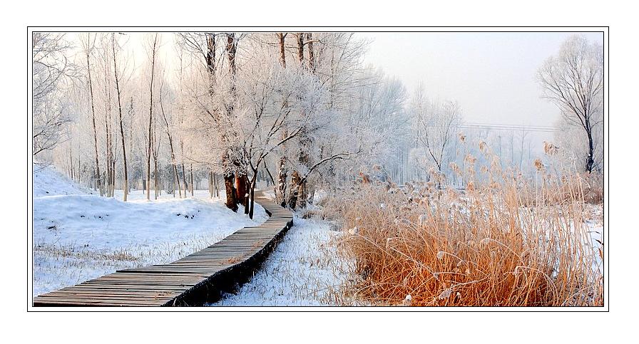 雪中即景 摄影 眼镜萧