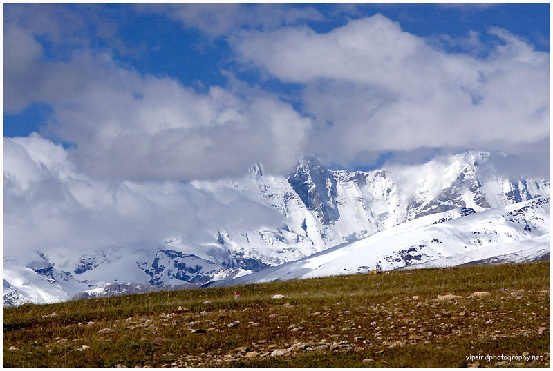 雪山 摄影 yipsir