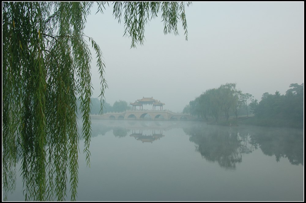 静溢的早晨 摄影 胖胖牛哥