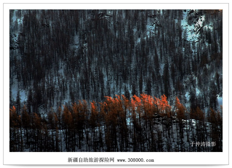 新疆 喀纳斯 禾木 冬景 摄影 古道浪子