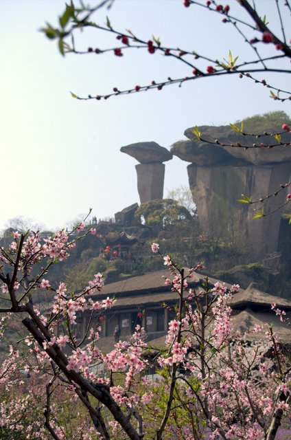 吼山 摄影 漠之