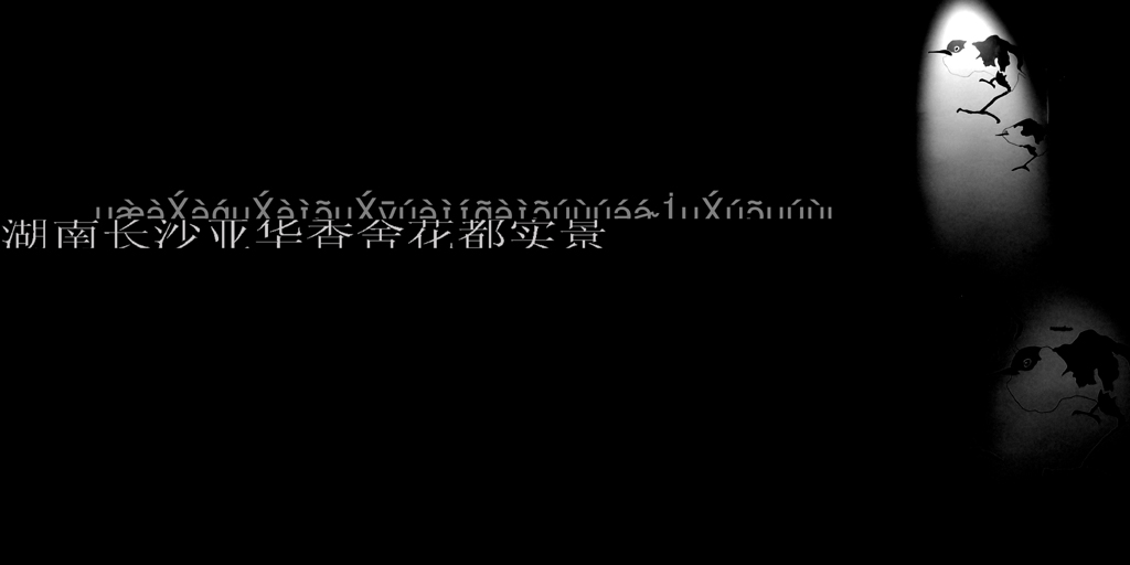 亚华香舍花都2006 摄影 燃放共同