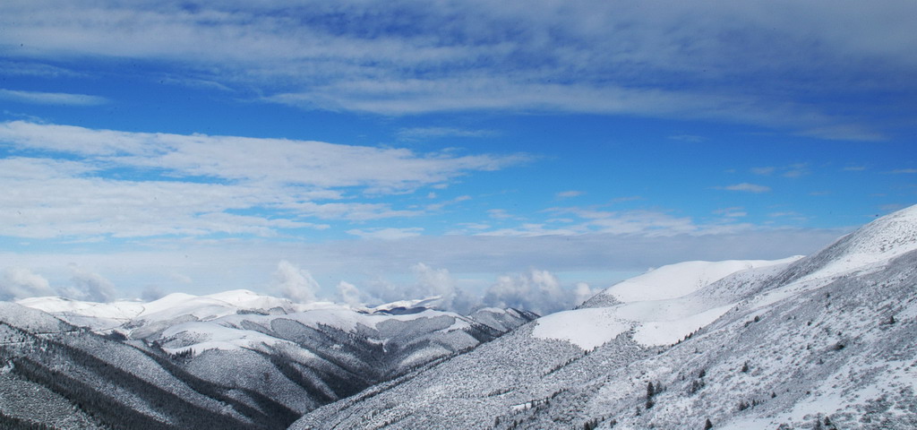 高原瑞雪 摄影 菜鸟在忽悠