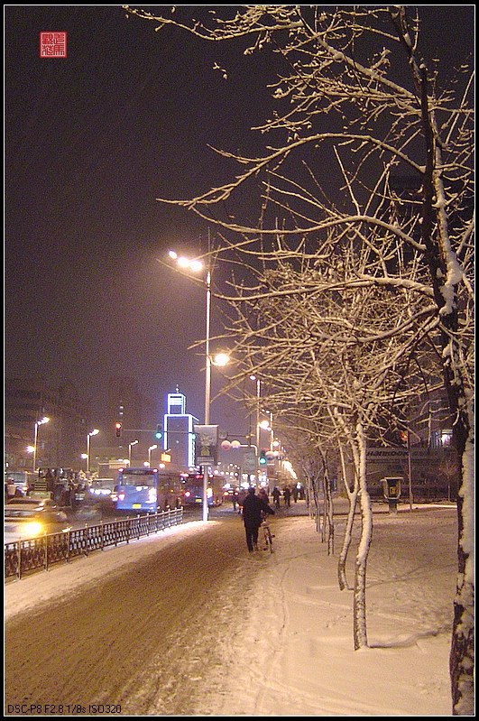 夜雪 摄影 走马观花