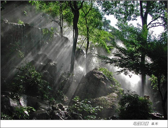 晨曦 摄影 马路天使