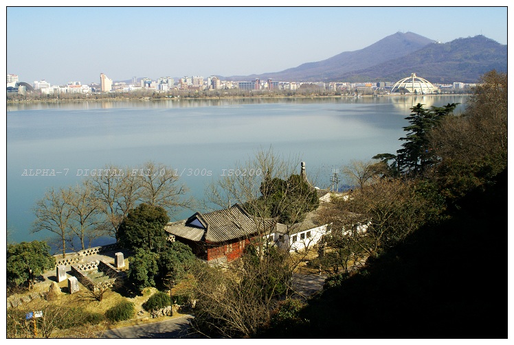 南京玄武湖冬景 摄影 咚子