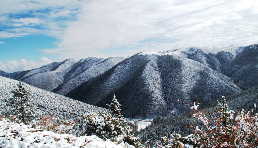 高原初雪 摄影 菜鸟在忽悠