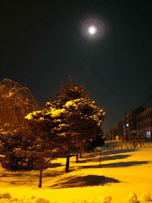 夜光映雪 摄影 甲由田