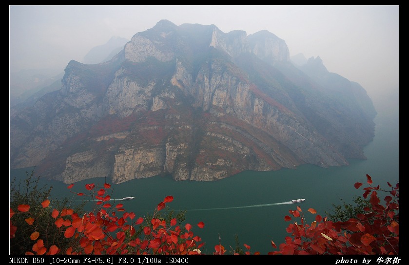 三峡红叶 摄影 华尔街