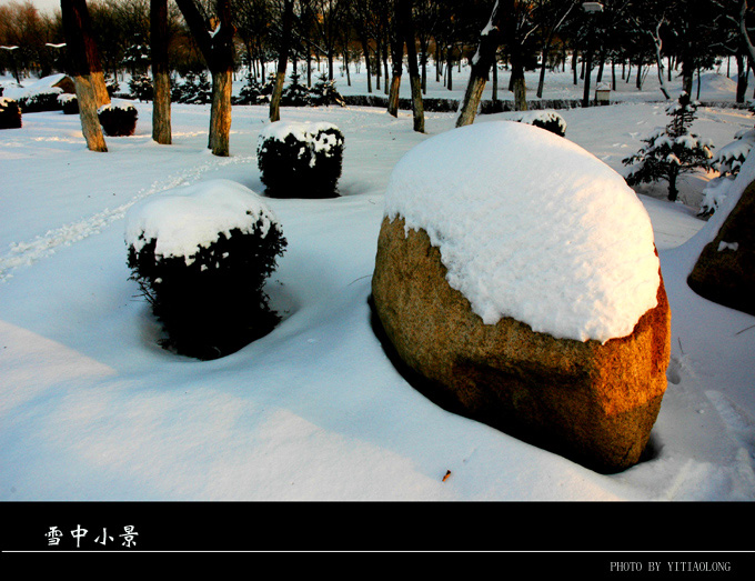 雪中小景 摄影 一条龙