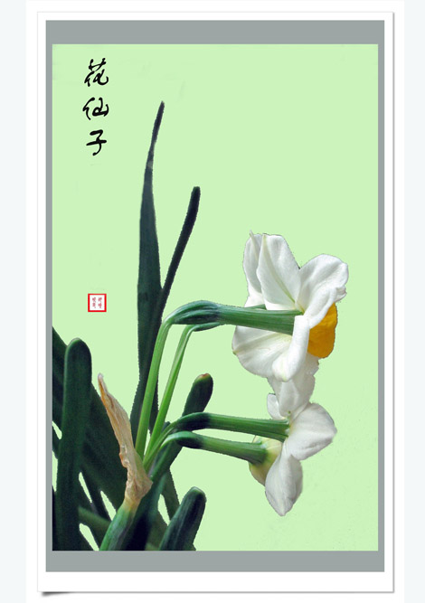 花仙子 摄影 laoren