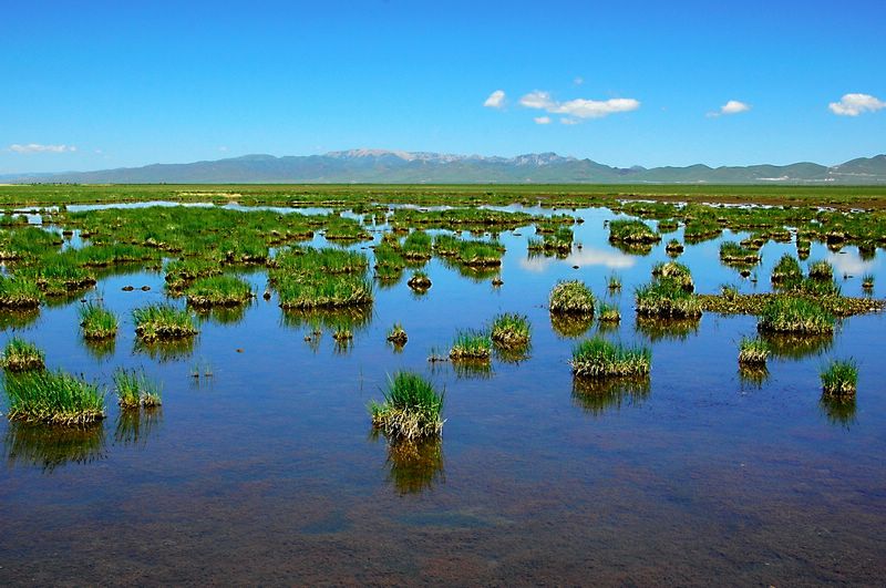 花湖美景 摄影 弈天