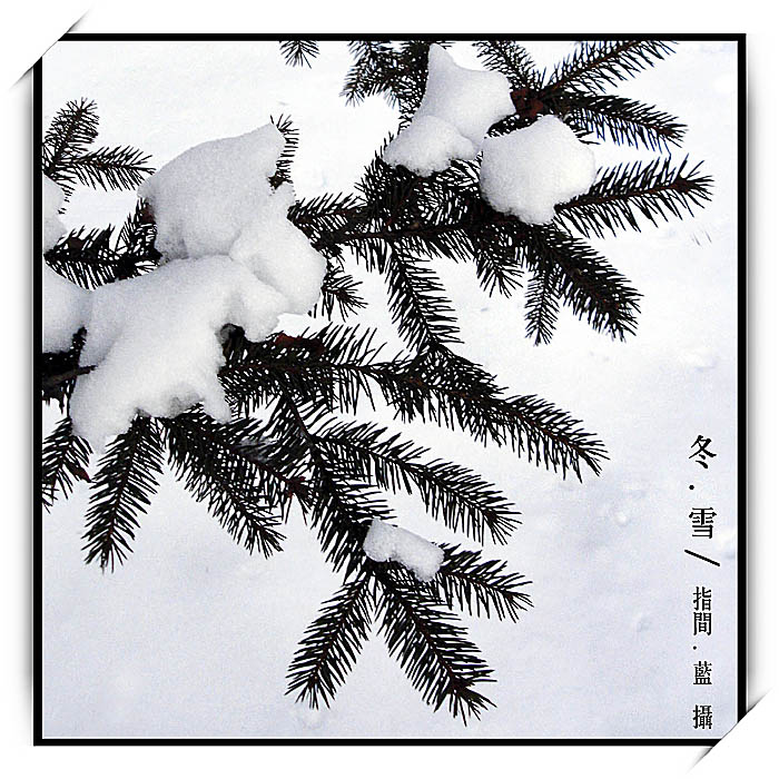 冬.雪 摄影 指间.蓝