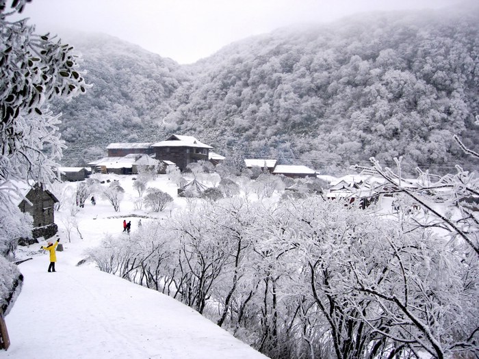 瑞雪 摄影 秋芸