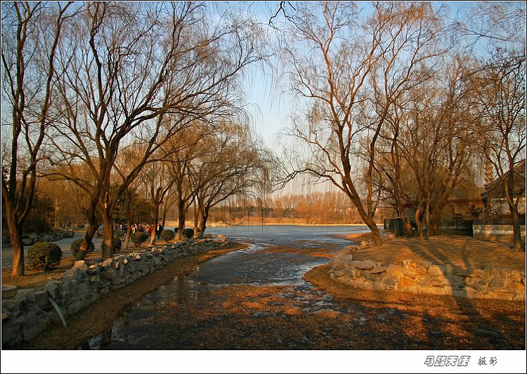 圆明园公园景色 摄影 马路天使