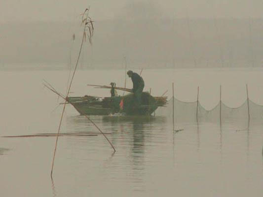 渔 摄影 weikang