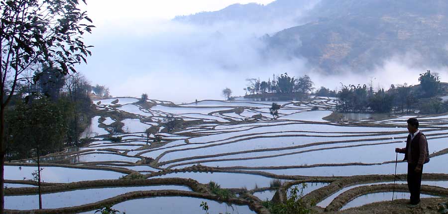 天空梯田 <箐口> 摄影 草莓芭芭乐