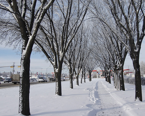 大雪過后 摄影 photonut