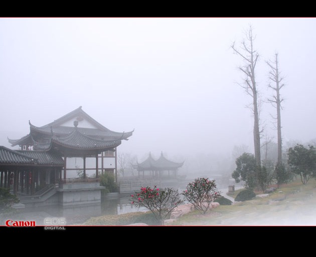 雾景 摄影 五月天