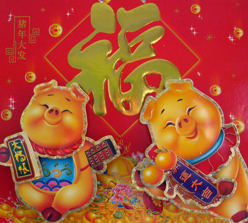 祝新摄影的朋友们猪年吉祥 摄影 古都侠影