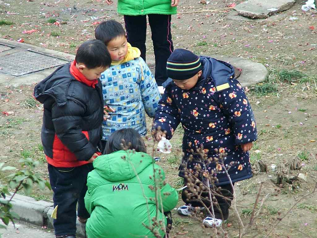 讨论 摄影 超级战龙