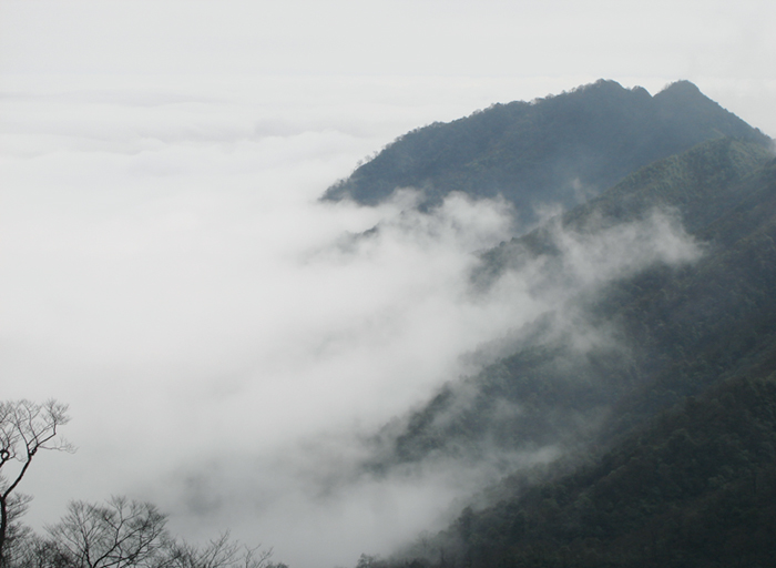 雾锁老山界 摄影 梦幻漓江之源