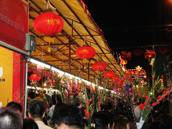 鲜花迎春 摄影 center