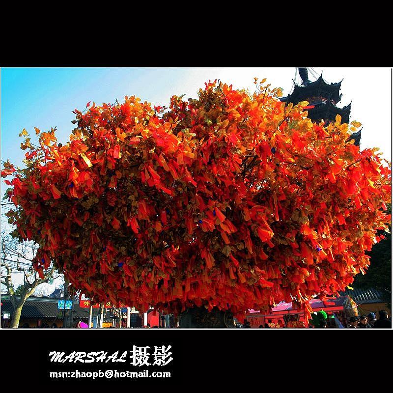 祈  福 摄影 记录生活