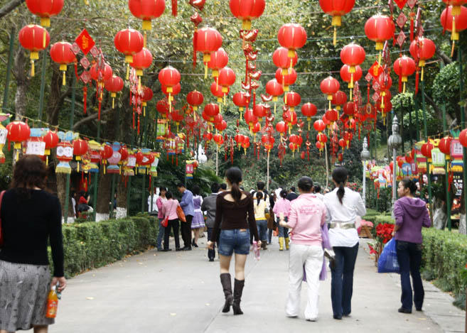 走向明天 摄影 翠玉白菜