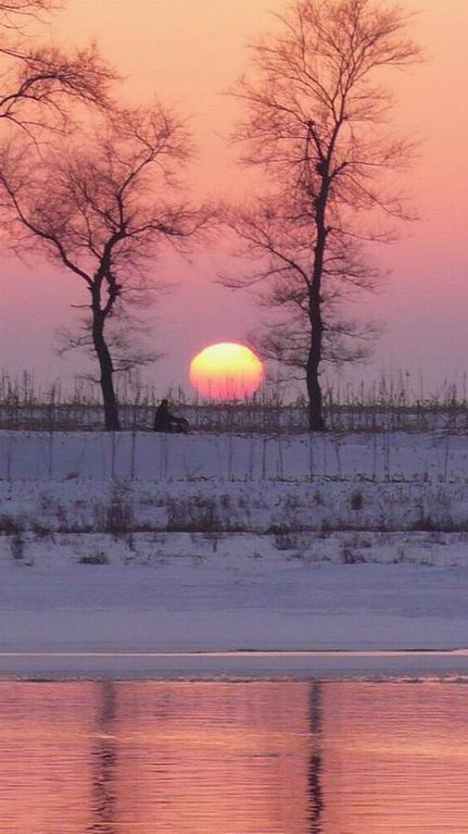 寒雪夕阳 摄影 博雅逸林