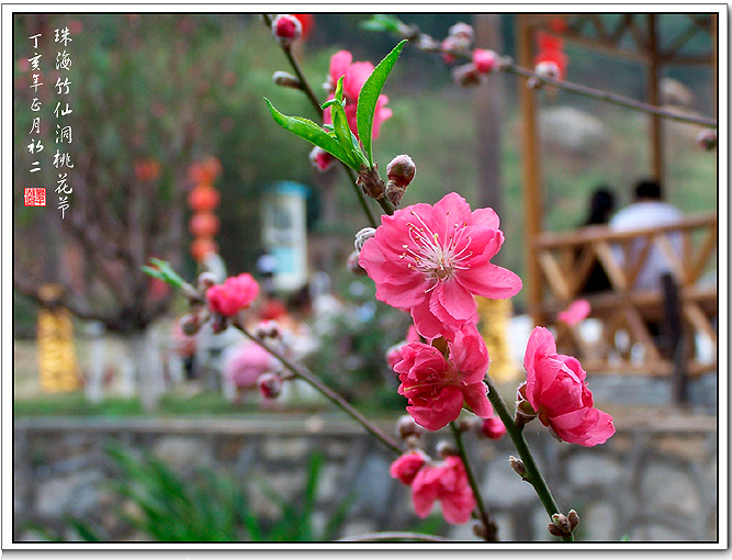 桃花源记 摄影 andyliu1977