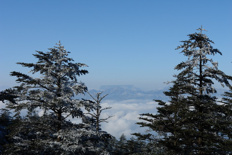 峨眉山雪 摄影 生命的爱