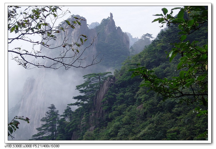 黄山奇峰 摄影 穿花问路