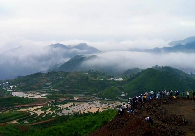 茗岙云雾 摄影 zhulingfu