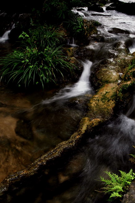 流水潺潺 nature 摄影 西伯利亚虎