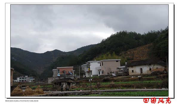 田园风光 摄影 皖南茶客