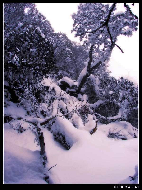 螺髻山之雪系列 摄影 yuanlovewei