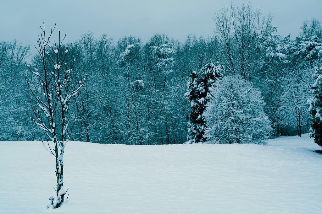 林海雪原 摄影 弦影