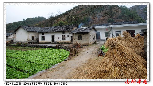 山村早晨 摄影 皖南茶客