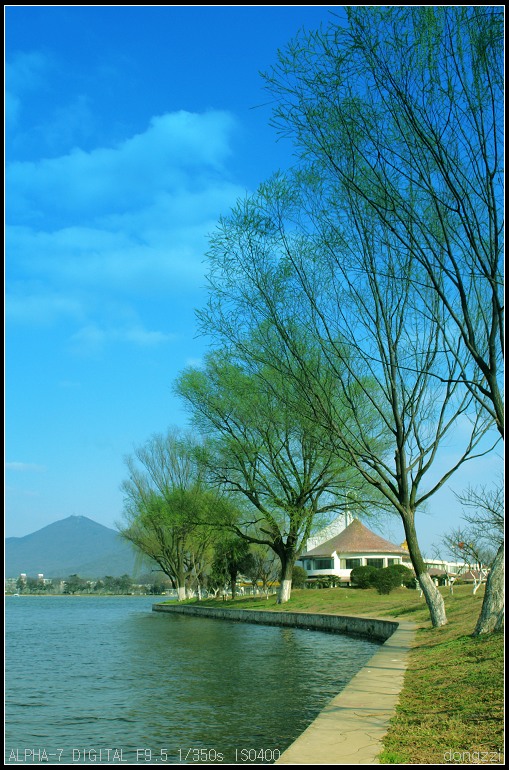 玄武湖春景 摄影 咚子