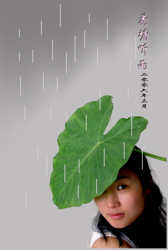 荷塘听雨 摄影 一坡