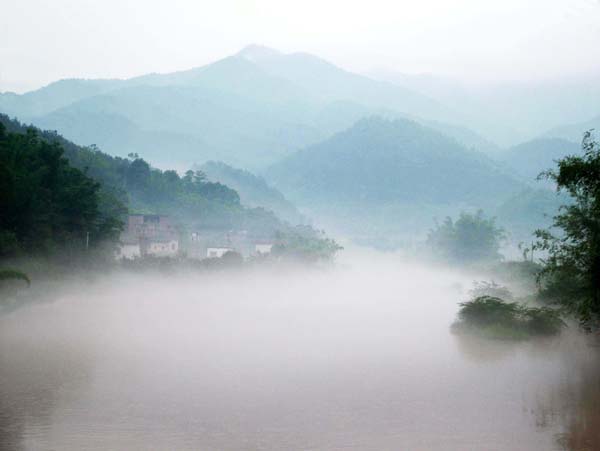 雨后 摄影 萍帆