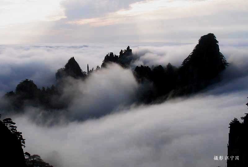 黄山云海 摄影 北海