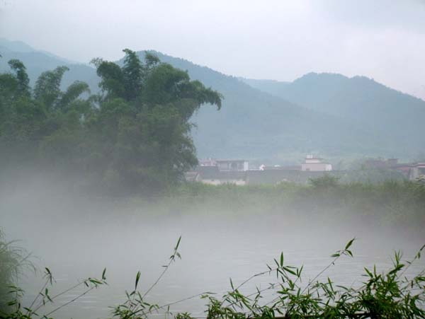 雾景 摄影 萍帆