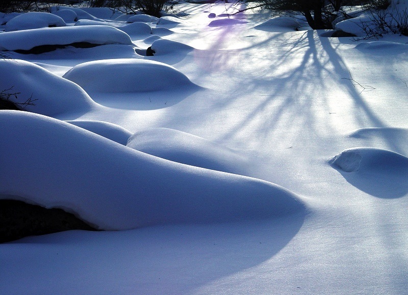 雪韵 摄影 思冰