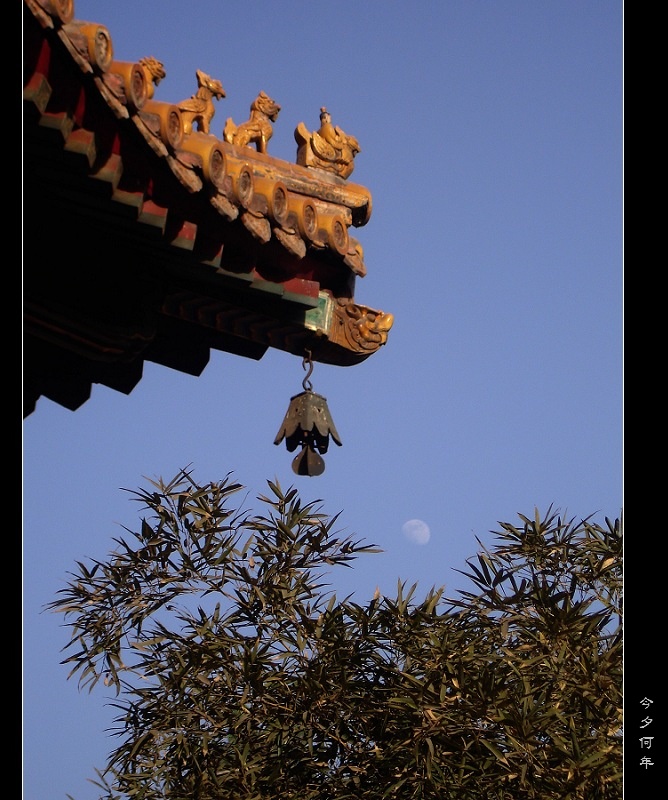 《今夕何年》 摄影 萧音悠扬