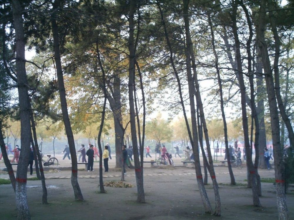 晨练 摄影 说三道四