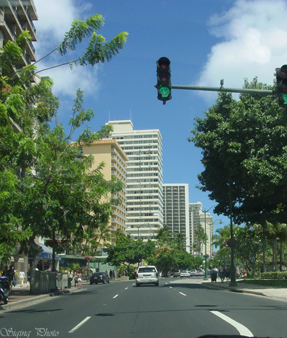 Honolulu(檀香山) 摄影 皋岚